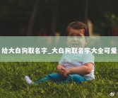 给大白狗取名字_大白狗取名字大全可爱